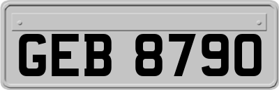 GEB8790