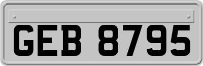 GEB8795
