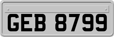 GEB8799