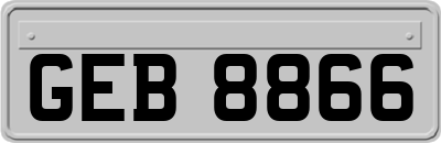 GEB8866