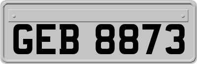 GEB8873