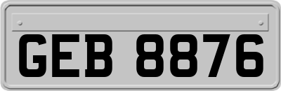 GEB8876