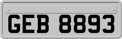 GEB8893