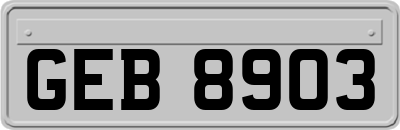 GEB8903