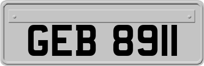 GEB8911