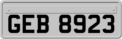 GEB8923