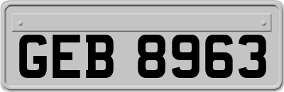 GEB8963