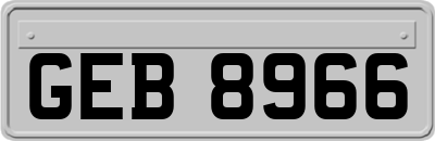 GEB8966