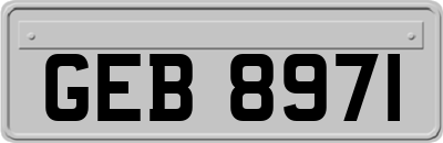GEB8971