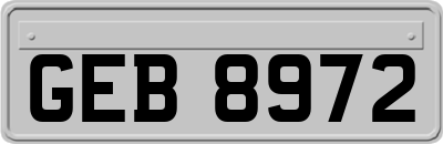 GEB8972