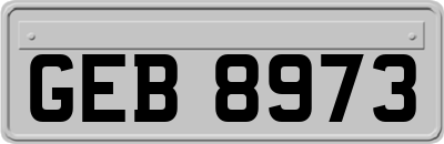 GEB8973