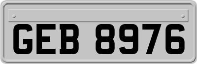 GEB8976