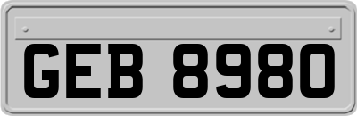GEB8980