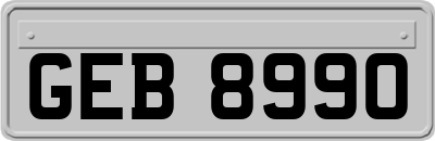 GEB8990