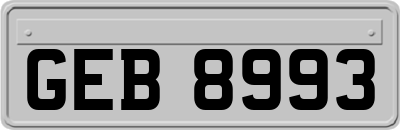 GEB8993