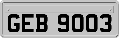 GEB9003