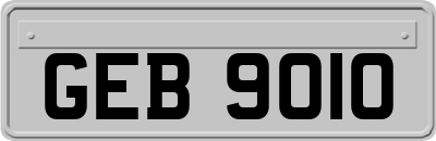 GEB9010