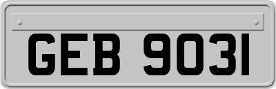GEB9031