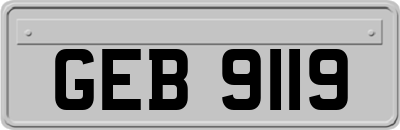 GEB9119