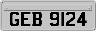 GEB9124