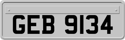 GEB9134