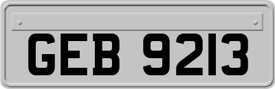 GEB9213