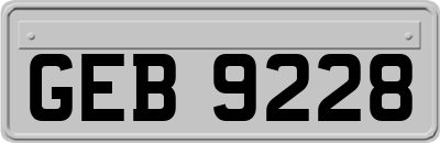 GEB9228