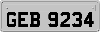 GEB9234