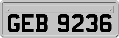 GEB9236