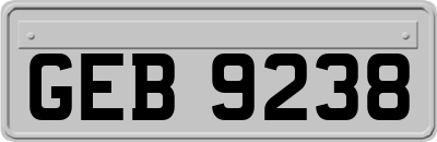 GEB9238