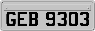 GEB9303