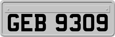 GEB9309