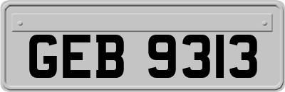 GEB9313