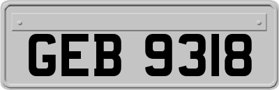 GEB9318