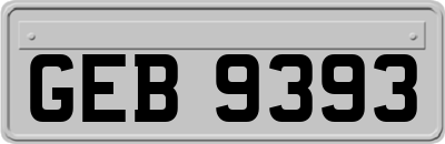 GEB9393