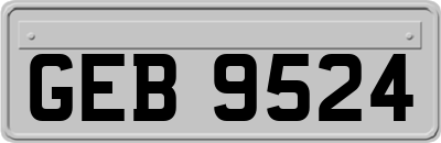 GEB9524