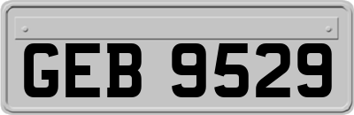 GEB9529