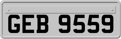 GEB9559