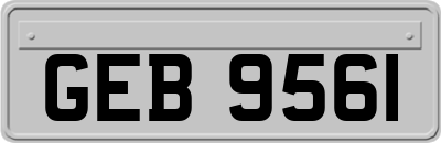 GEB9561