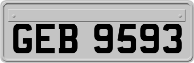 GEB9593