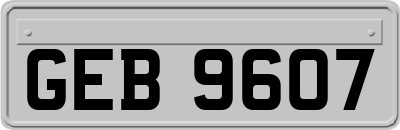 GEB9607