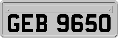 GEB9650