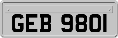 GEB9801