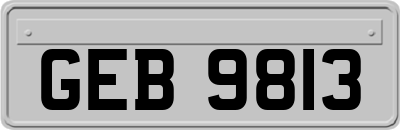 GEB9813