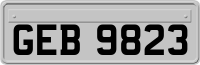 GEB9823