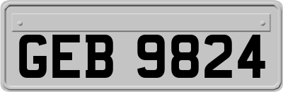 GEB9824