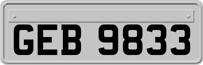 GEB9833