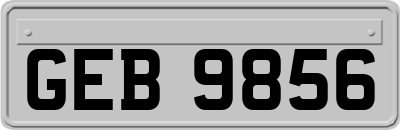 GEB9856