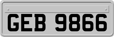 GEB9866