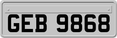 GEB9868